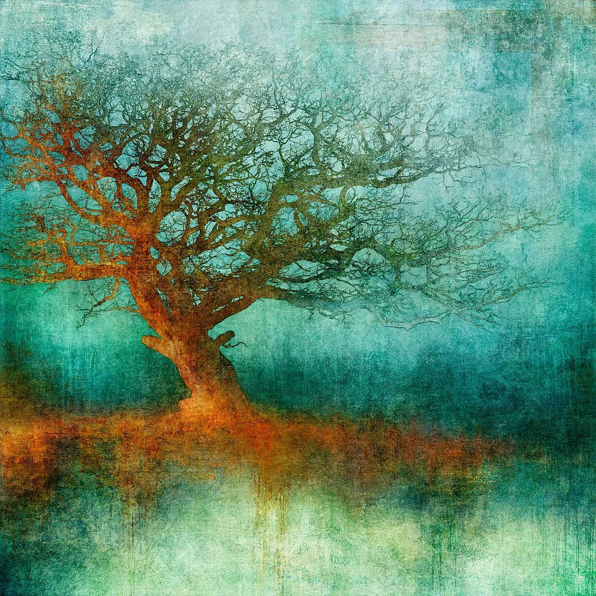Orange Glow (N50.9582 E0.1593) by Mark Munroe Preston by Mark Munroe - Preston