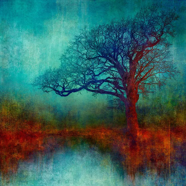 Autumn Alight (N50.9126 W0.0319) by Mark Munroe – Preston by Mark Munroe - Preston